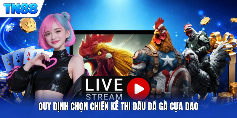 Quy định chọn chiến kê thi đấu đá gà cựa dao