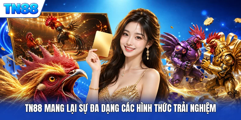 TN88 mang lại sự đa dạng các hình thức trải nghiệm
